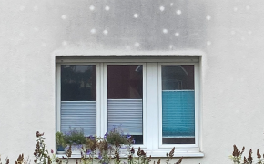 Hausfassade mit großflächig dunklen Flecken und hellen Kreisen über dem Fenster